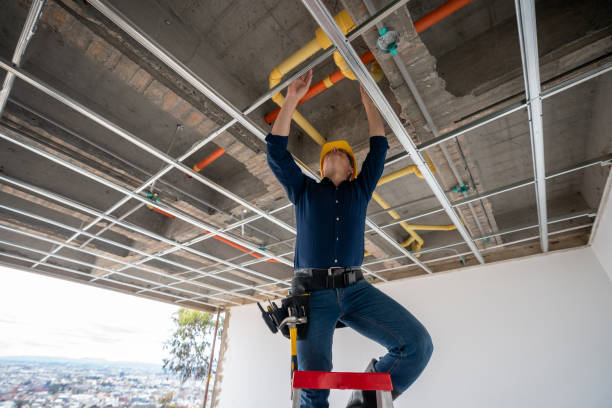 Best Affordable Plumbing Services  in Potterville, MI