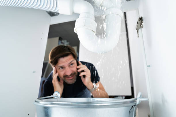 Best Leak Detection Services  in Potterville, MI