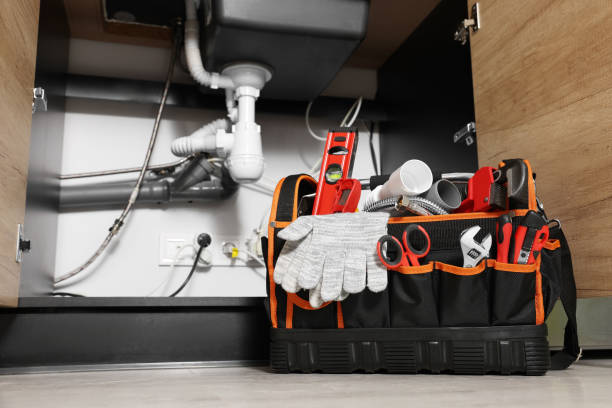 Best Commercial Plumbing Services  in Potterville, MI