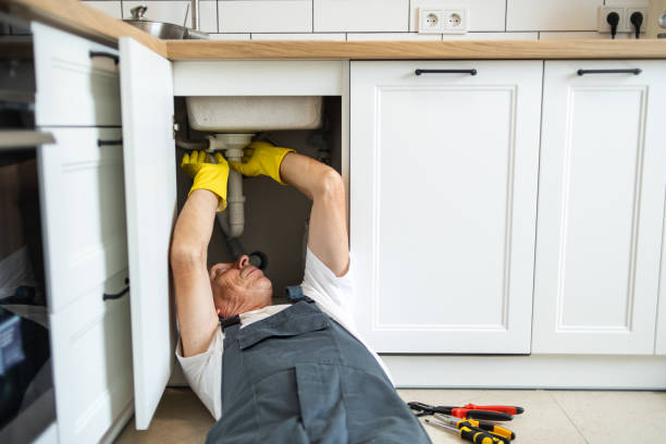 Best Plumbing Repair Near Me  in Potterville, MI