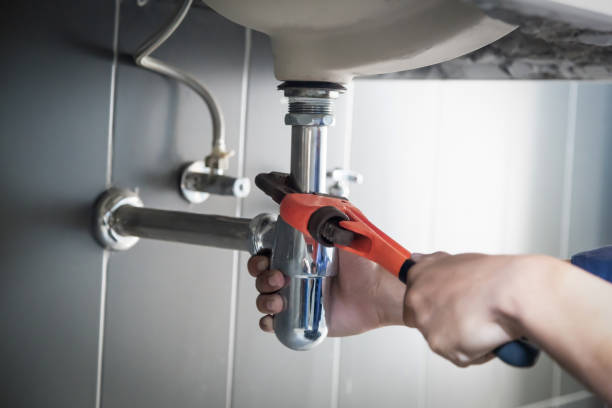 Best Septic Systems  in Potterville, MI