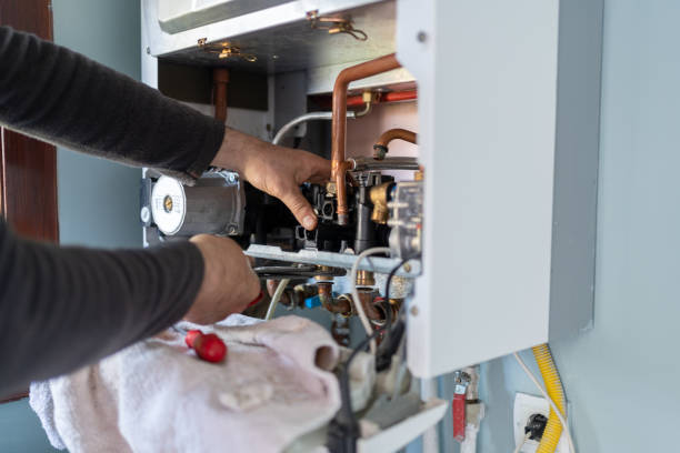 Best Affordable Plumbing Services  in Potterville, MI