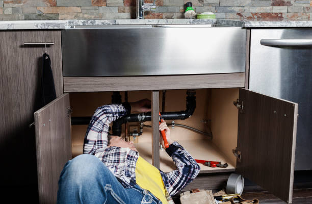 Best Clogged Drain Plumber  in Potterville, MI
