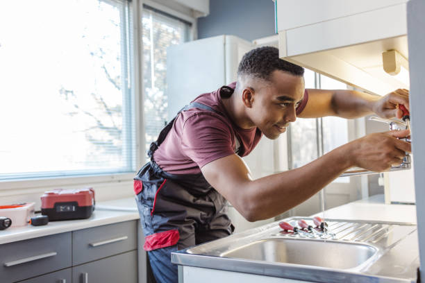 Best Plumbing Inspection Services  in Potterville, MI