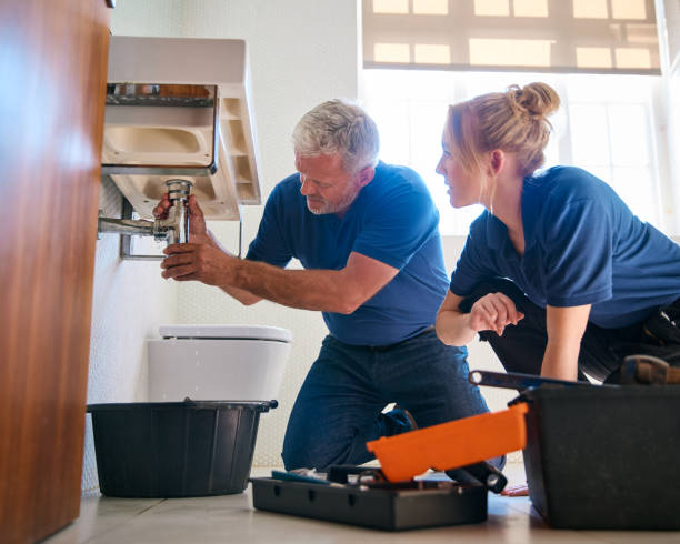 Best Plumbing Services Near Me  in Potterville, MI